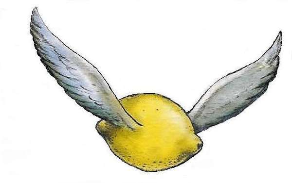 lemon.jpg